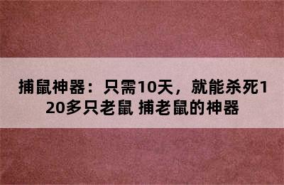 捕鼠神器：只需10天，就能杀死120多只老鼠 捕老鼠的神器